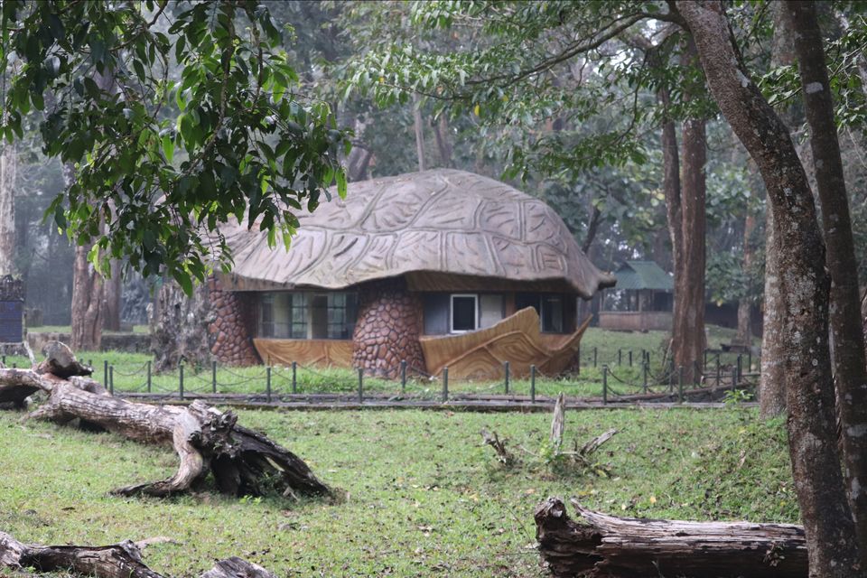 Photo of Mesmerising Kerala Part I by Rumki Sengupta