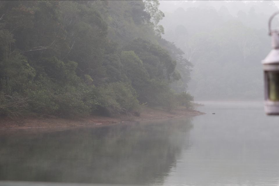 Photo of Mesmerising Kerala Part I by Rumki Sengupta