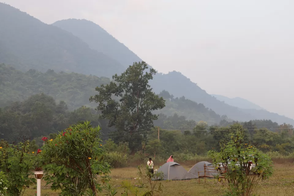 Photo of In search of adventure.... Satkosia Tiger Reserve, Odisha by Rumki Sengupta