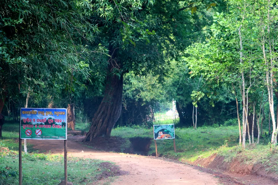 Photo of In search of adventure.... Satkosia Tiger Reserve, Odisha by Rumki Sengupta