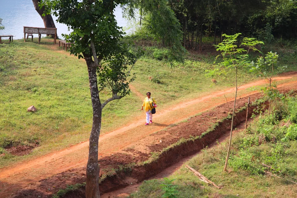 Photo of In search of adventure.... Satkosia Tiger Reserve, Odisha by Rumki Sengupta