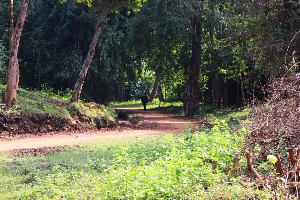 Photo of In search of adventure.... Satkosia Tiger Reserve, Odisha by Rumki Sengupta