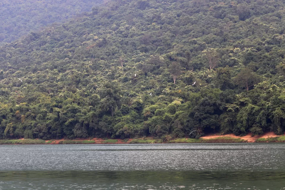 Photo of In search of adventure.... Satkosia Tiger Reserve, Odisha by Rumki Sengupta