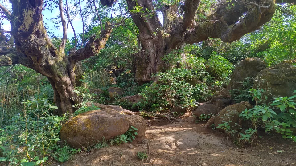 Photo of The adventures of Raireshwar. by Kiran Shelke