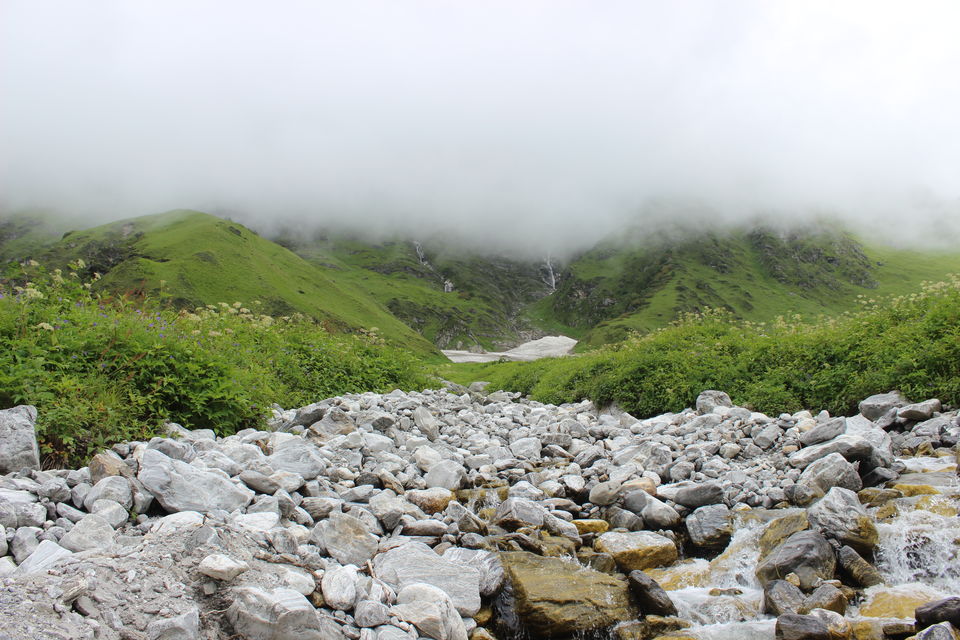 Photo of Valley of flowers- Heaven on earth 5/8 by Rashmi Pai