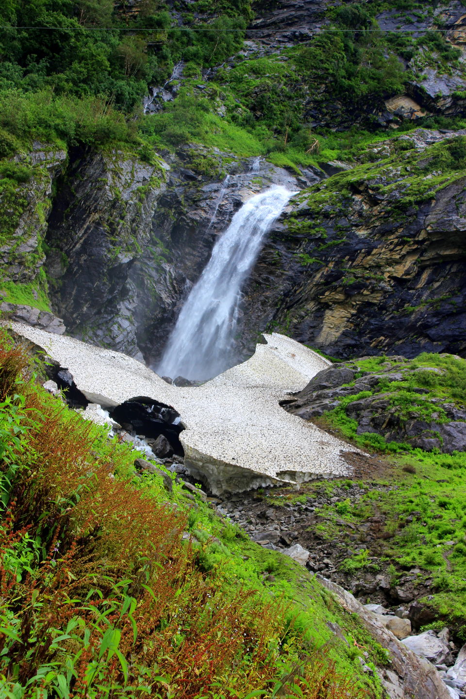 Photo of Valley of flowers- Heaven on earth 7/8 by Rashmi Pai
