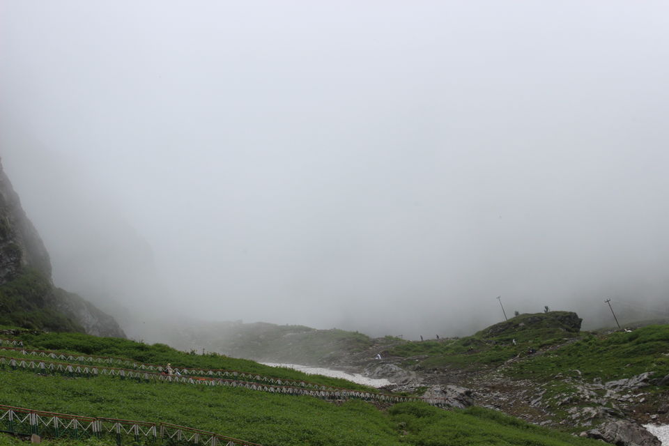 Photo of Valley of flowers- Heaven on earth 8/8 by Rashmi Pai