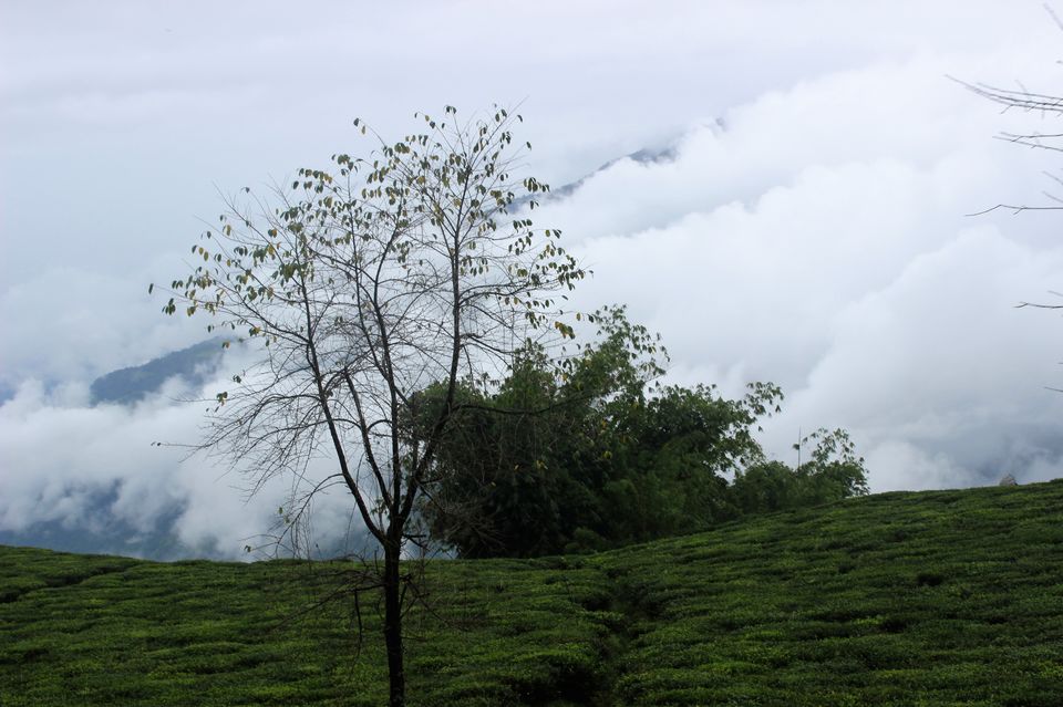 Photo of Sikkim : beauty nestled in mountains 5/5 by Rashmi Pai