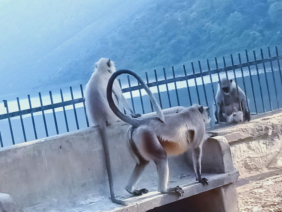 Photo of एक दिन की छुट्टी का लुत्फ उठाने के लिए दिल्ली से यहां जाए ! by Smita Yadav