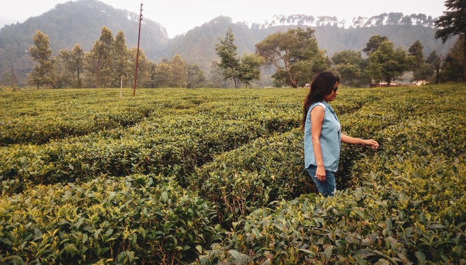 Photo of रानीखेत : उत्तराखंड में बसा एक खूबसूरत अजूबा!! by Smita Yadav