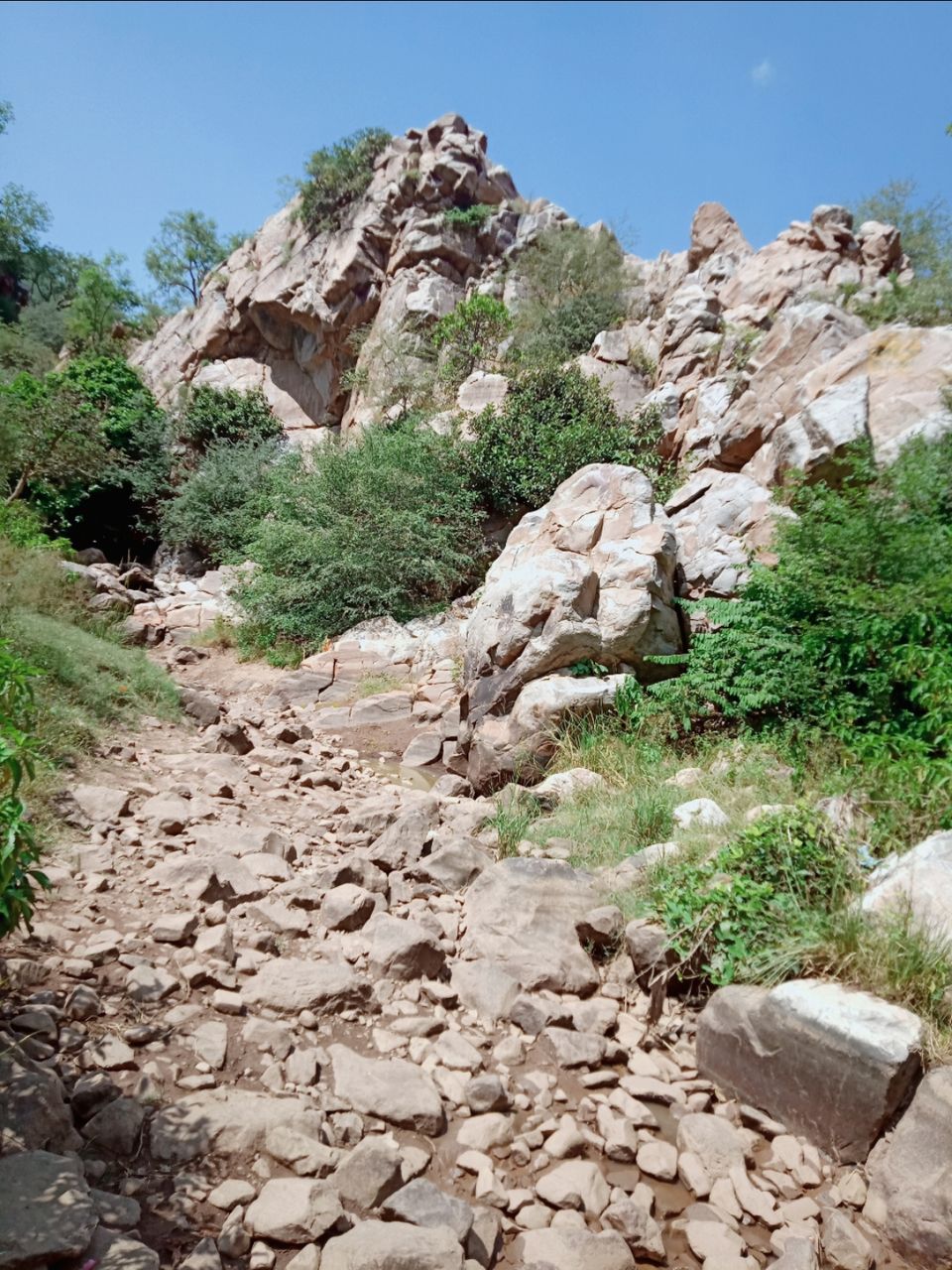 Photo of राजस्थान में भी है अमरनाथ की तरह सुरम्य पहाड़ी में शिव मंदिर : नलदेश्वर धाम, अलवर by Smita Yadav