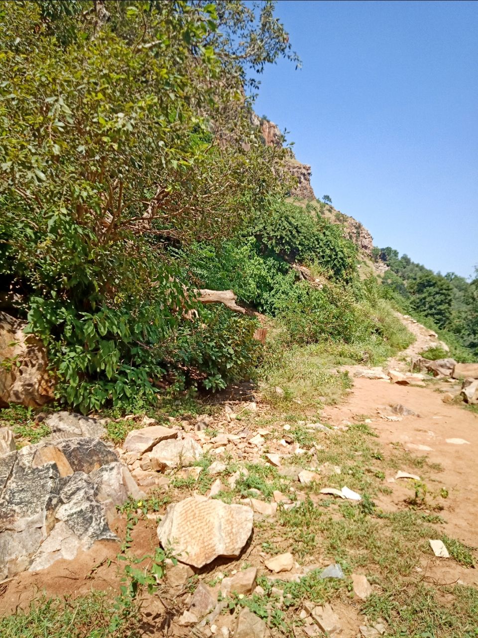 Photo of राजस्थान में भी है अमरनाथ की तरह सुरम्य पहाड़ी में शिव मंदिर : नलदेश्वर धाम, अलवर by Smita Yadav