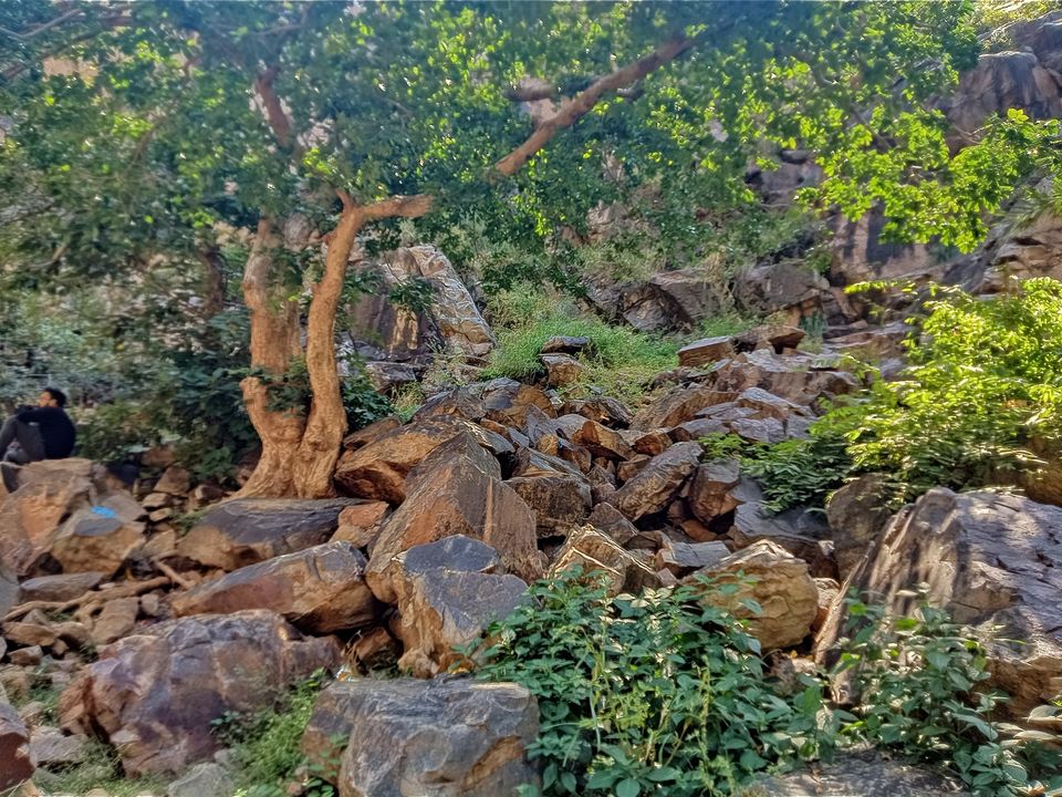 Photo of राजस्थान में भी है अमरनाथ की तरह सुरम्य पहाड़ी में शिव मंदिर : नलदेश्वर धाम, अलवर by Smita Yadav