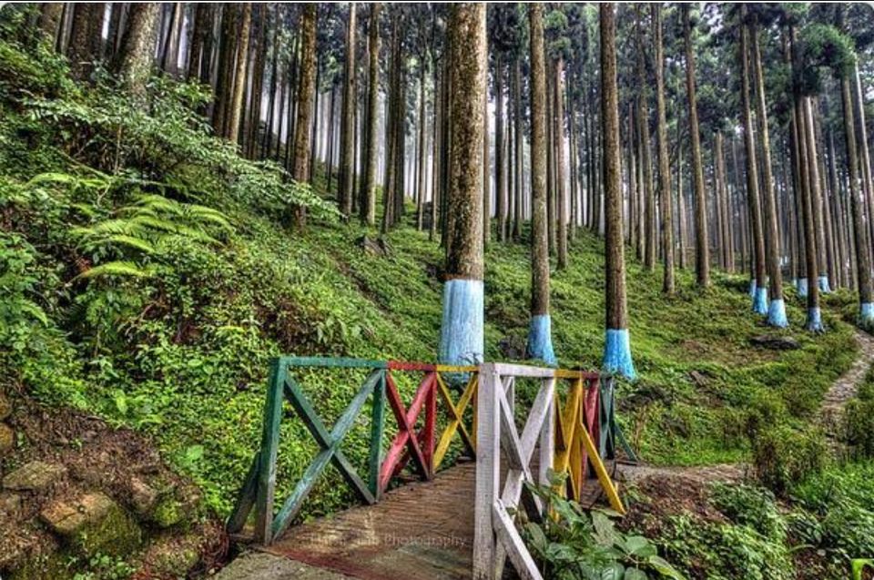Photo of भारत के वो टॉप 10 टूरिस्ट डेस्टिनेशंस, जिनका शायद ही कभी आपने नाम सुना हो। by Smita Yadav