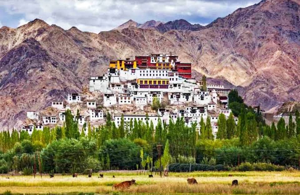 Photo of ये हैं भारत के सबसे खूबसूरत गाँव, जिनकी खूबसूरती किसी जन्नत से कम नहीं, एक बार ज़रूर जाएं by Smita Yadav