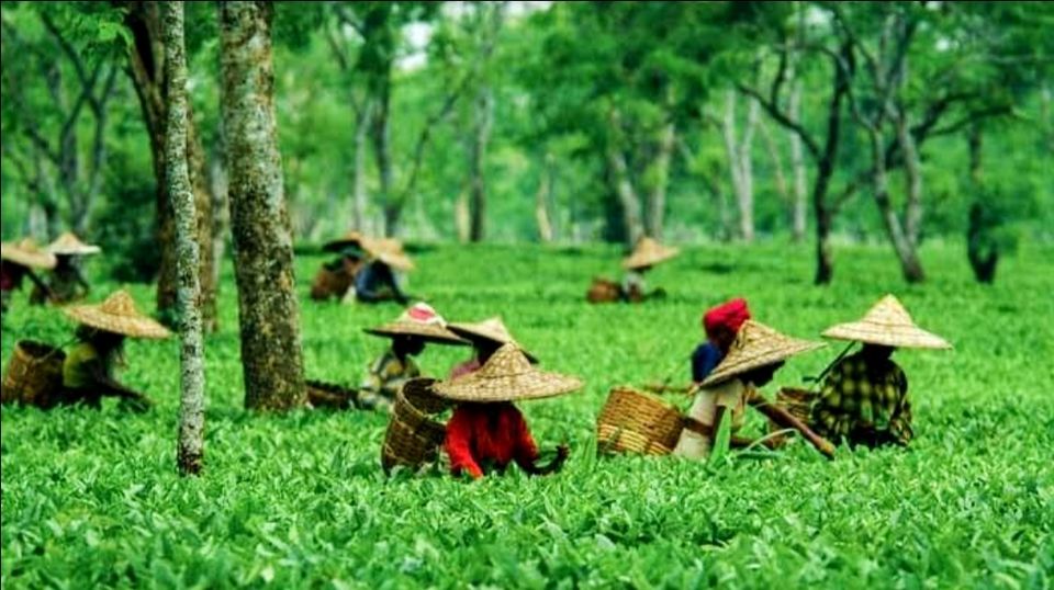 Photo of भारत की ऐसी रहस्यमयी जगहें जो अपने इतिहास के लिए आज भी हैं चर्चा का विषय by Smita Yadav