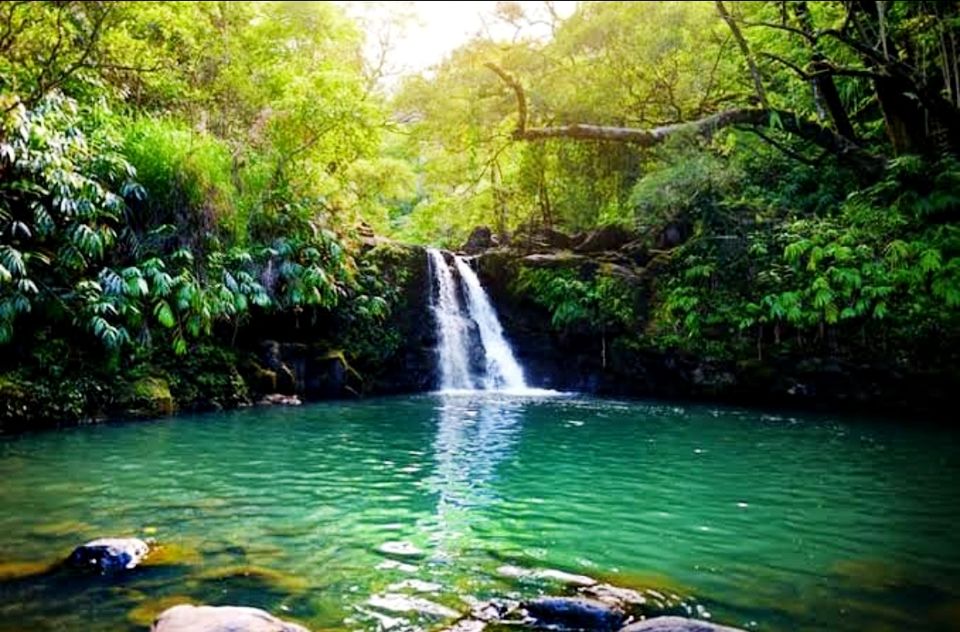 Photo of सत्ताल झील :सात झीलों का एक आकर्षक समूह, जो आज हैं उत्तराखंड के प्रमुख पर्यटन स्थलों में सबसे खास by Smita Yadav