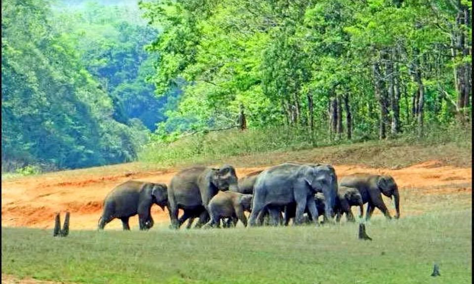 Photo of अगर आप भी कम करना चाहते हैं वर्क फ्रॉम होम का स्ट्रेस, तो इन हिल स्टेशनों का रूख ज़रूर करें by Smita Yadav