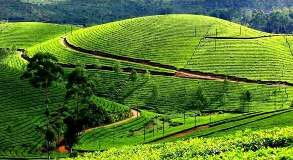 Photo of मॉनसून में करें केरल के इन खूबसूरत स्थानों की सैर, जहाँ दिखेगा जन्नत का नज़ारा by Smita Yadav