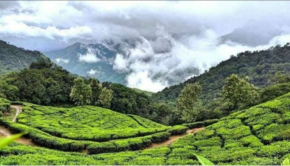 Photo of मानसून का आनंद लेना हैं तो अगस्त में प्लान करें इन बेहतरीन जगहों की ट्रिप, करेंगे खूब एन्जॉय by Smita Yadav