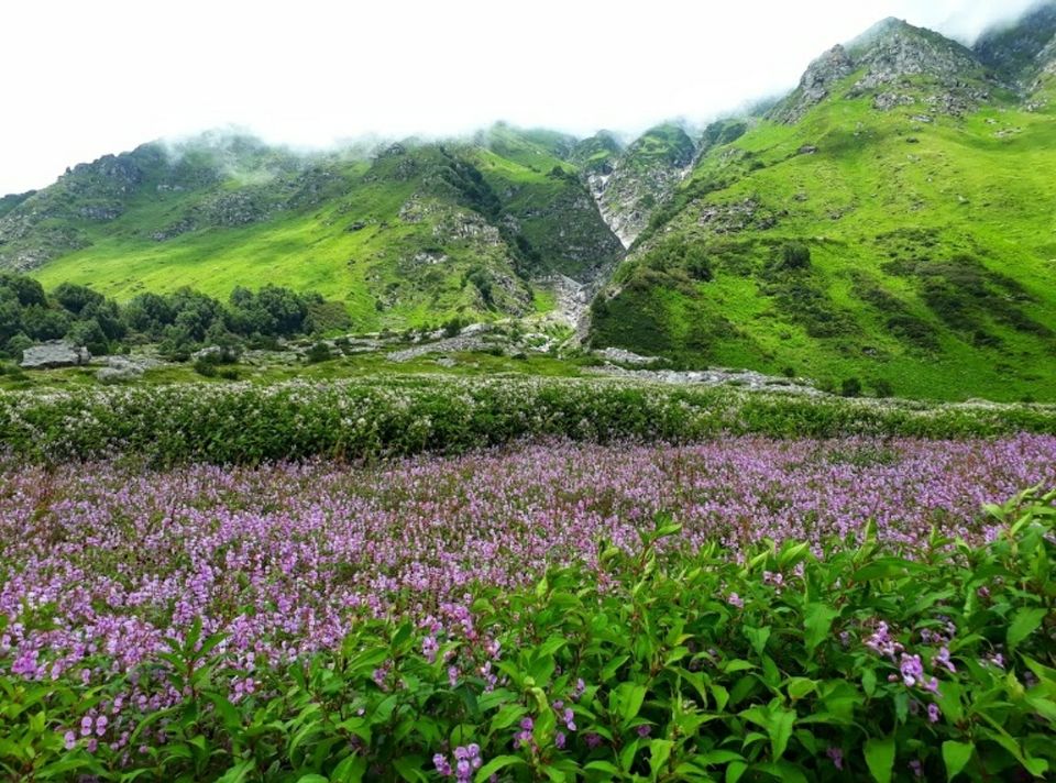 Photo of अगस्त में हैं घूमने का प्लान, तो फिर आपको इन बेहतरीन जगहों पर ज़रूर गौर करना चाहिए by Smita Yadav