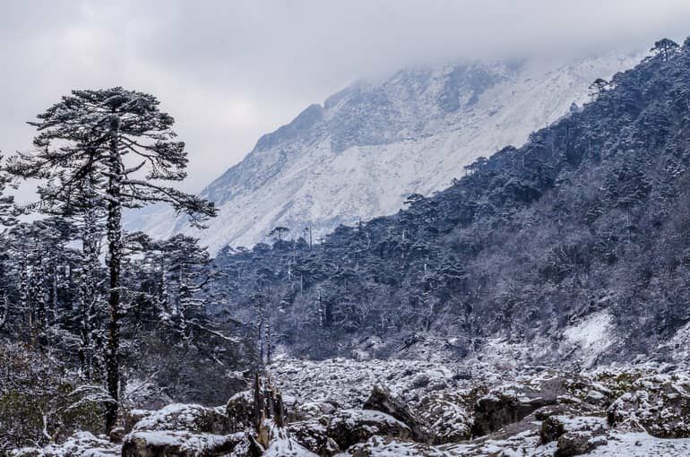 Photo of हिमाचल या उतराखंड नहीं बल्कि पूर्वोत्तर भारत के इन खूबसूरत पहाड़ों की करें सैर, आनंद होगा दुगुना by Smita Yadav
