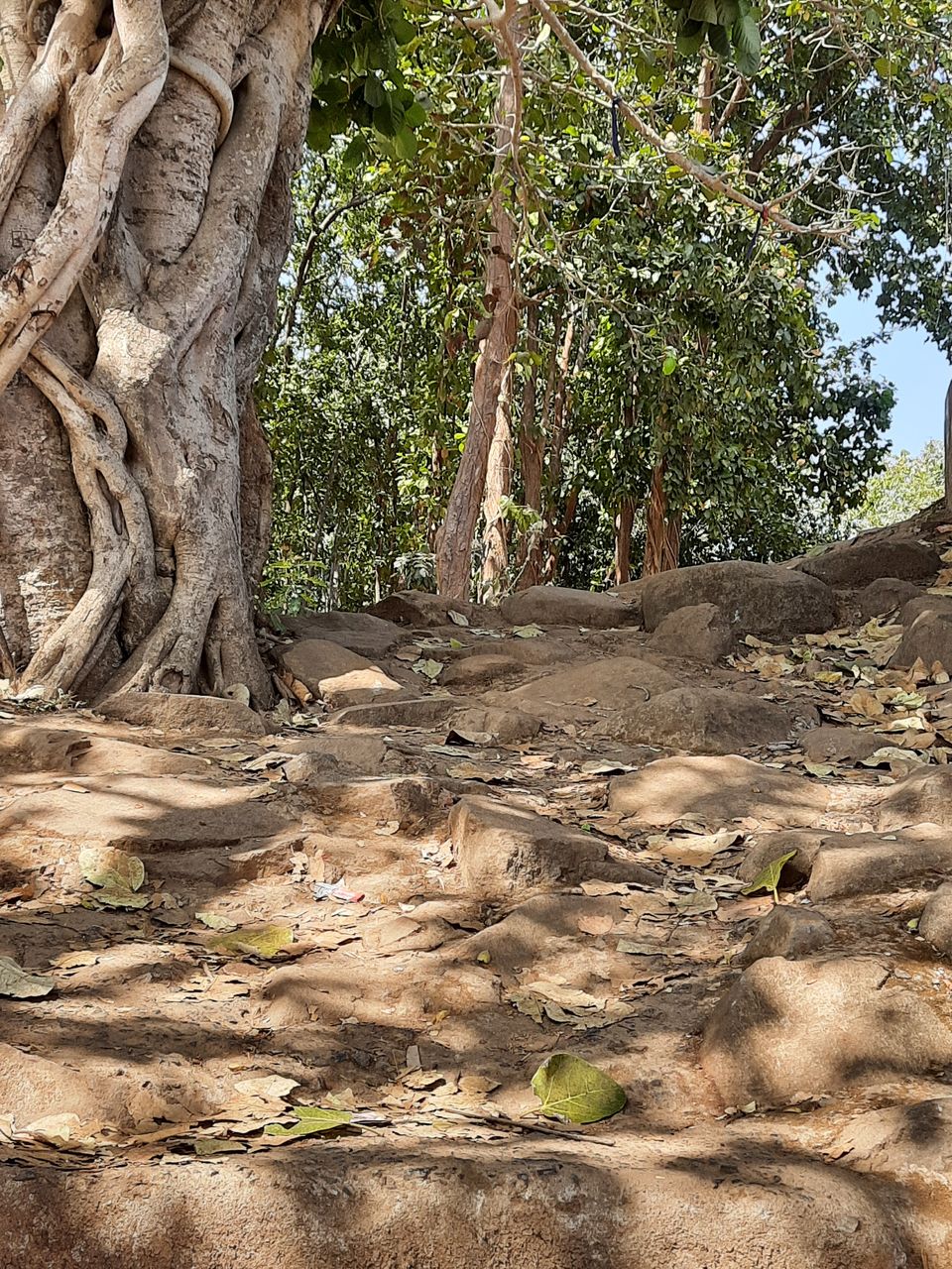 Photo of Can't get enough of Countryside... by Mandakini Dehuri