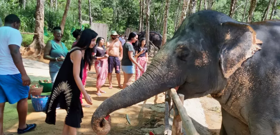 Photo of Solo traveler, detained baggage, Thai food tasting, island hopping, elephant bathing & more... by Sneha Das