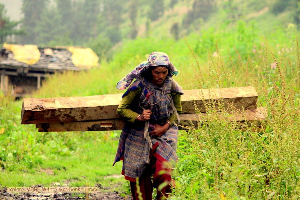 Photo of Devbhoomi Himachal Pradesh (मेरा हिमाचल ) 8/10 by saket.sankhyan