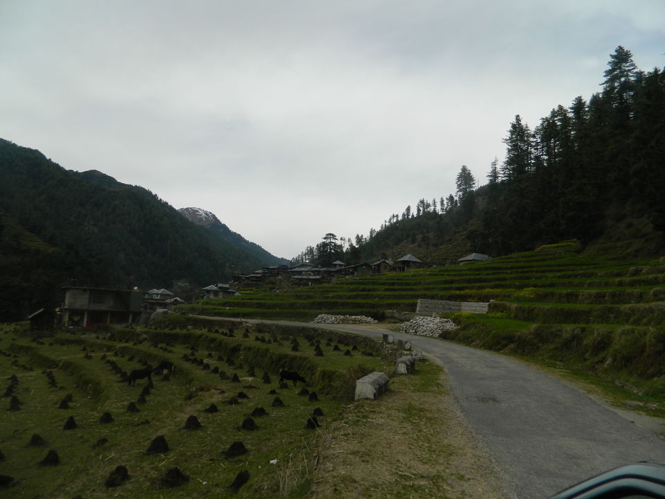 Photo of Heaven called _ Barot valley 1/17 by saket.sankhyan