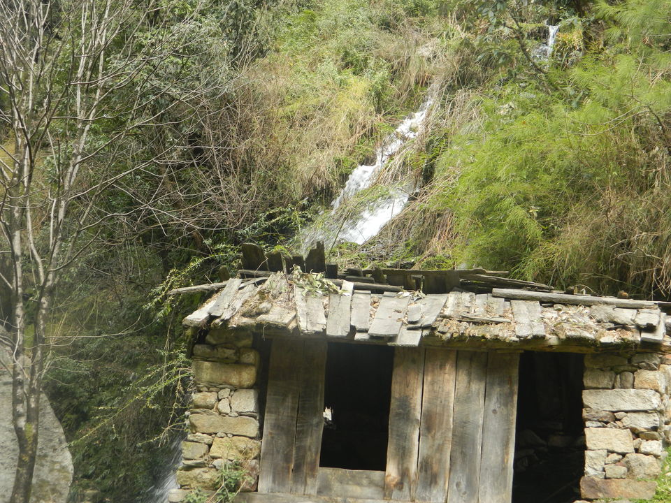 Photo of Heaven called _ Barot valley 3/17 by saket.sankhyan