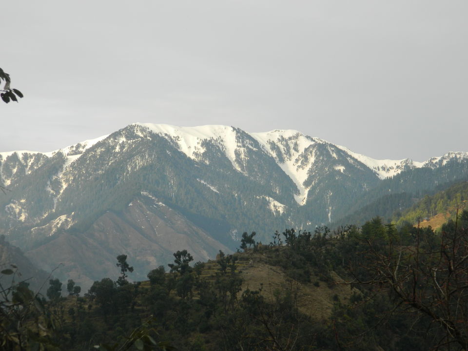 Photo of Heaven called _ Barot valley 16/17 by saket.sankhyan