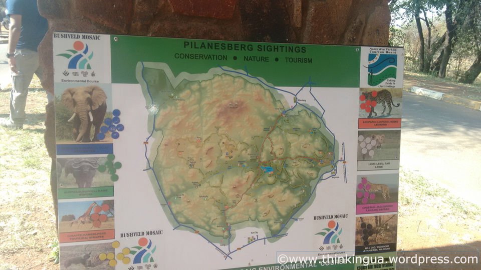 Photo of Pilanesberg National Reserve Visit (South Africa) 2/6 by soundryasn