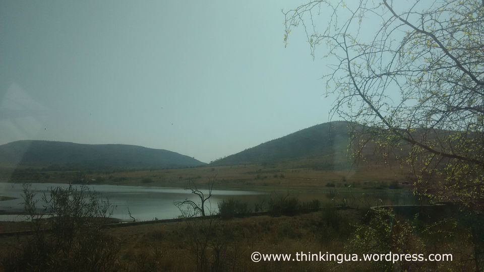 Photo of Pilanesberg National Reserve Visit (South Africa) 4/6 by soundryasn