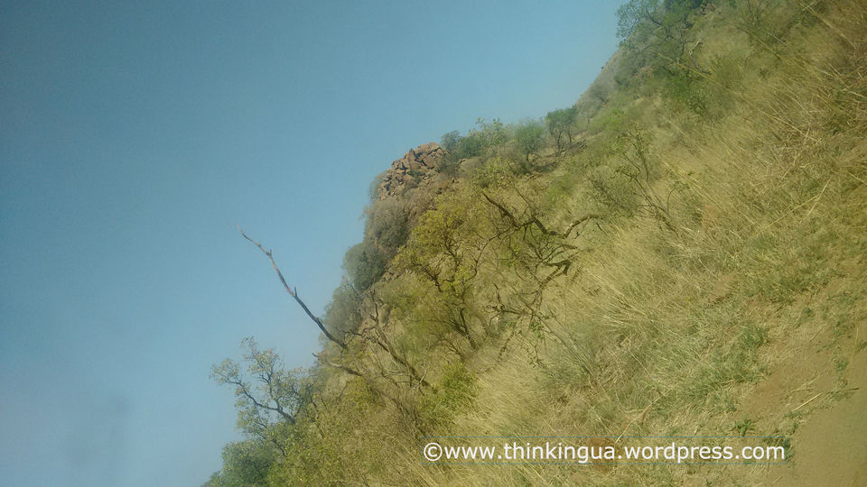Photo of Pilanesberg National Reserve Visit (South Africa) 5/6 by soundryasn