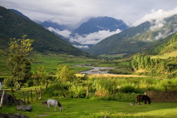 Photo of Along, West Siang by Vaivhav Todi