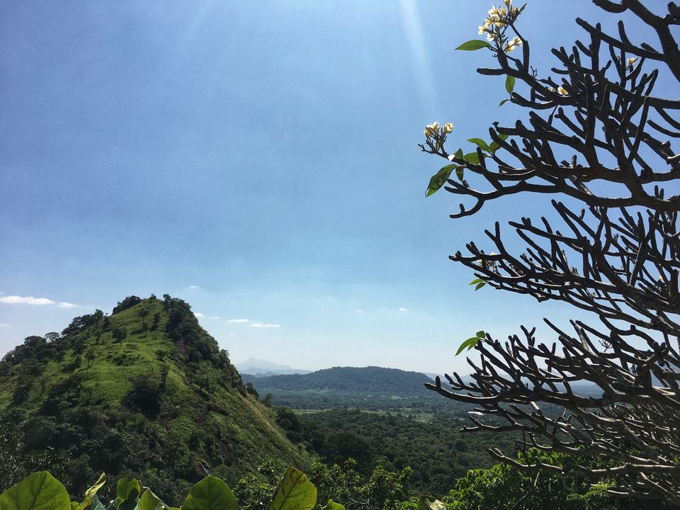 Photo of FIVE DAYS OF ROAD TRIP IN SRI LANKA 3/10 by shivkriti pushkarna