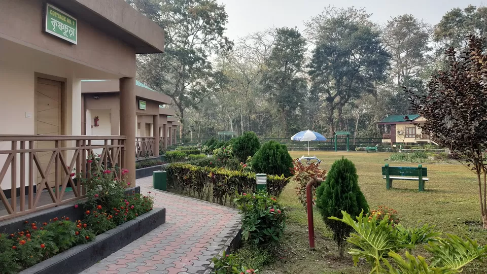 Photo of Jaldapara National Park, Uttar Madarihat, West Bengal, India by iamdsayantan