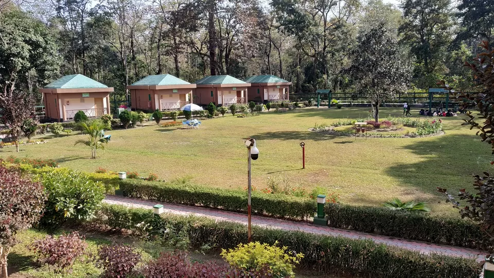Photo of Jaldapara National Park, Uttar Madarihat, West Bengal, India by iamdsayantan