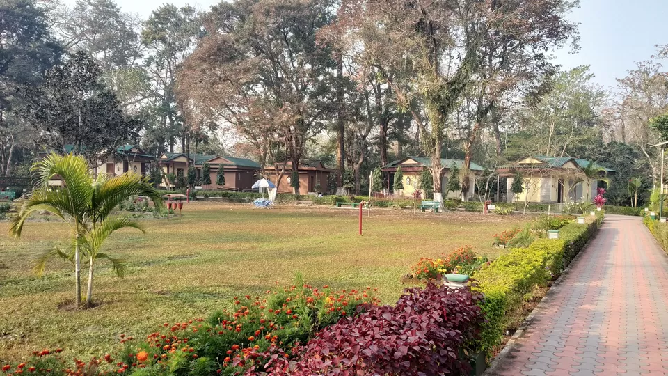 Photo of Jaldapara National Park, Uttar Madarihat, West Bengal, India by iamdsayantan