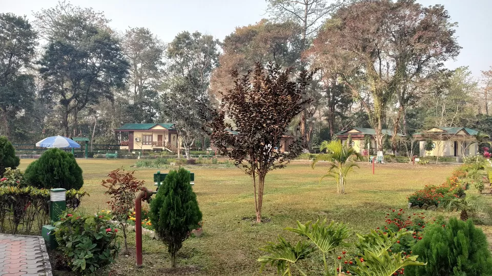 Photo of Jaldapara National Park, Uttar Madarihat, West Bengal, India by iamdsayantan