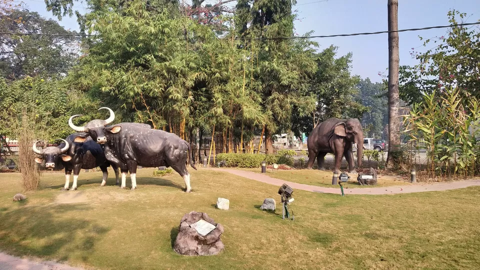 Photo of Jaldapara National Park, Uttar Madarihat, West Bengal, India by iamdsayantan