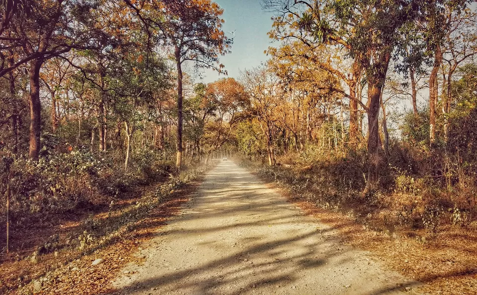 Photo of Taste Adventure and Thrill with the Exciting Jeep Safari in Dooars,Bengal by iamdsayantan