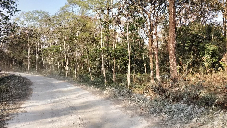 Photo of Taste Adventure and Thrill with the Exciting Jeep Safari in Dooars,Bengal by iamdsayantan