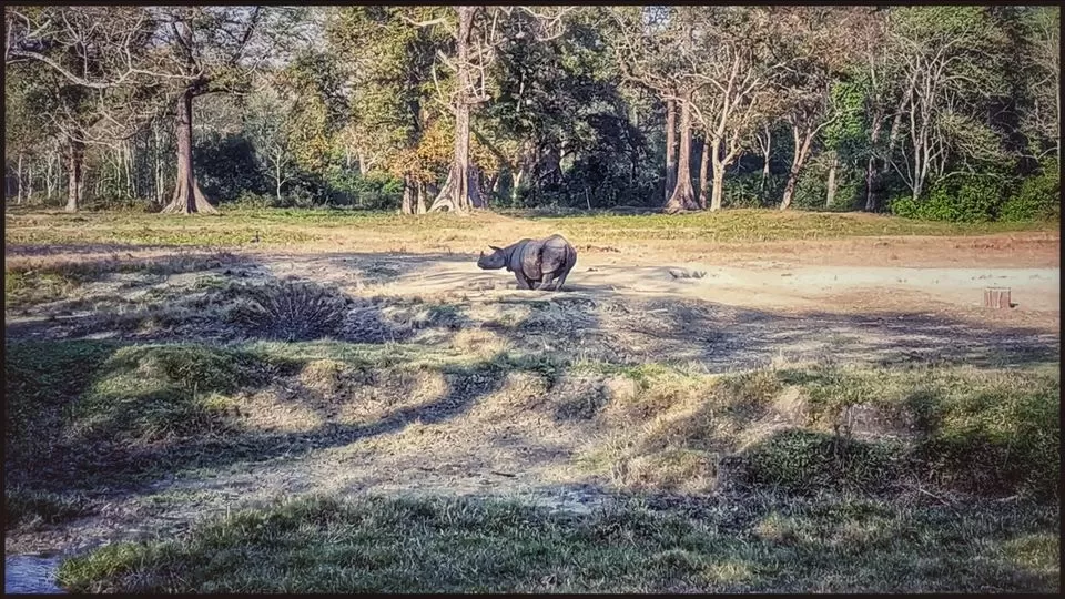 Photo of Taste Adventure and Thrill with the Exciting Jeep Safari in Dooars,Bengal by iamdsayantan