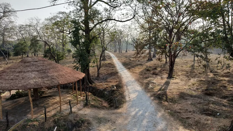 Photo of Taste Adventure and Thrill with the Exciting Jeep Safari in Dooars,Bengal by iamdsayantan