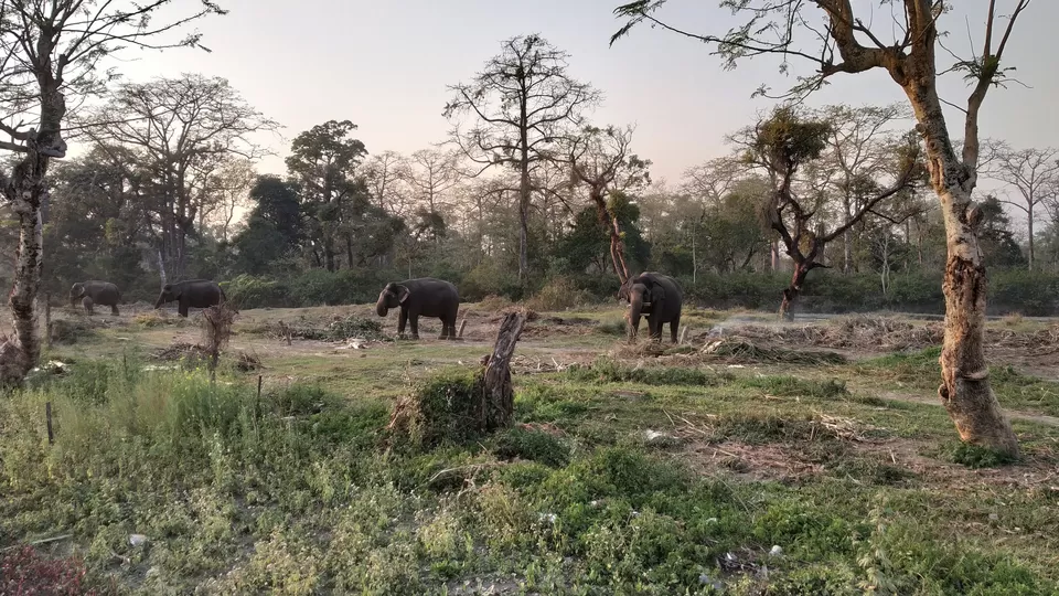 Photo of Taste Adventure and Thrill with the Exciting Jeep Safari in Dooars,Bengal by iamdsayantan