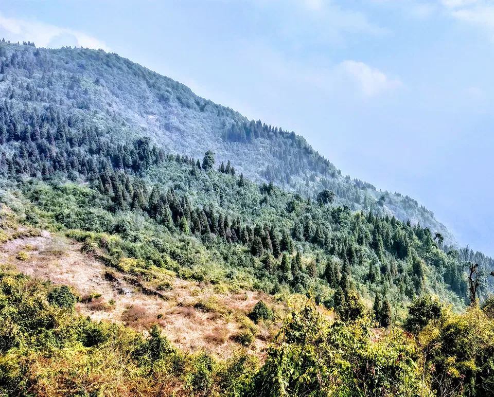 Photo of Gangtok, Sikkim, India by iamdsayantan