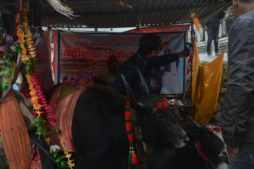 Photo of Shri Badrinath yatra 2019 by Mike Farswan
