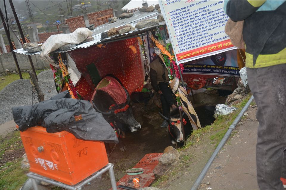 Photo of Shri Badrinath yatra 2019 by Mike Farswan